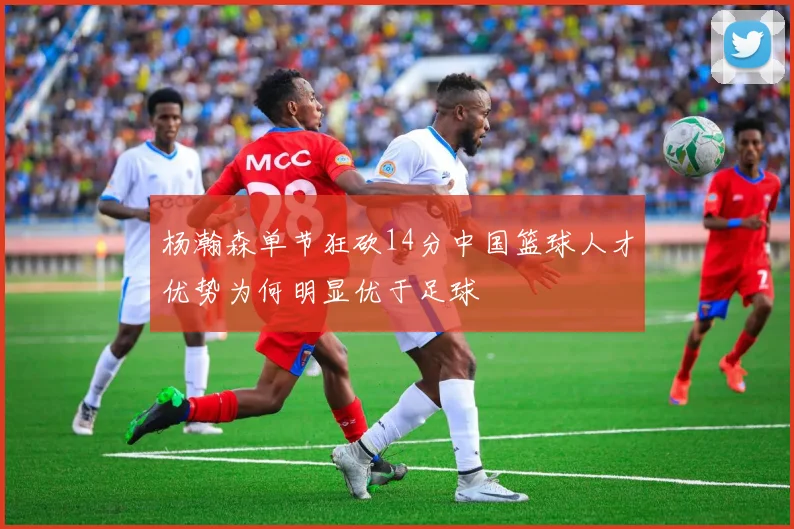 杨瀚森单节狂砍14分中国篮球人才优势为何明显优于足球