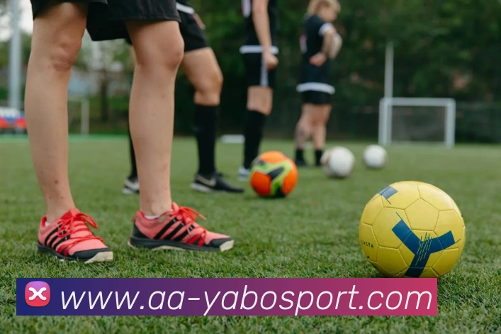 亚博足球平台生态图