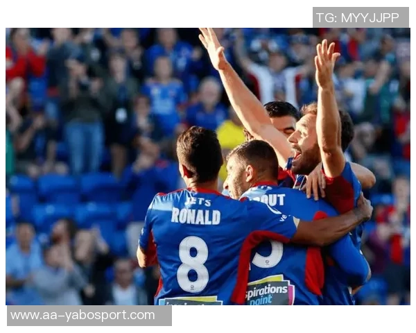 纽卡斯尔本赛季表现分析：联赛低迷与欧冠战绩对比探讨